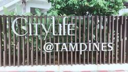 CityLife @ Tampines (D18), Condominium #203293241